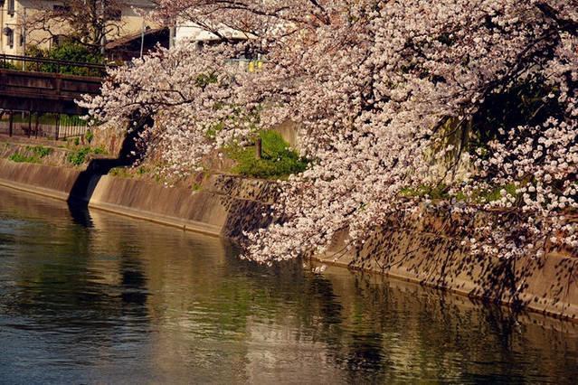 Art Stay In Tofukuji Kiotó Kültér fotó